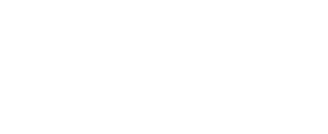 Point